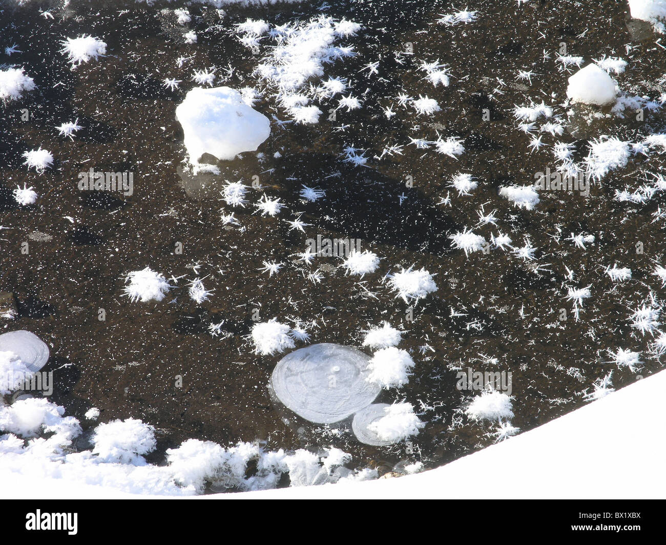 brook stream detail frozen ice shore snow surface water Winter Stock ...