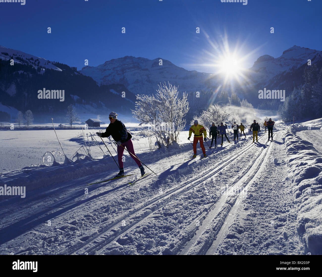Country skiing. Беговые лыжи в Швейцарии. Лыжные гонки природа лыжной трассы в Швейцарии. Пейзаж горнолыжный курорт. Швейцария гонки.