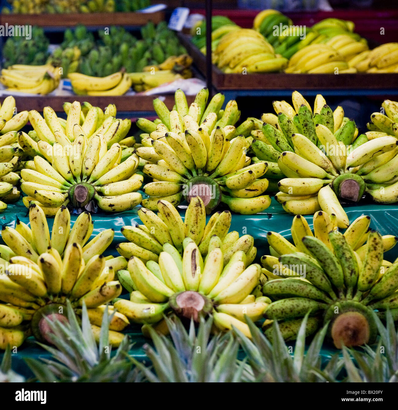 Bananas in bunches hi-res stock photography and images - Alamy