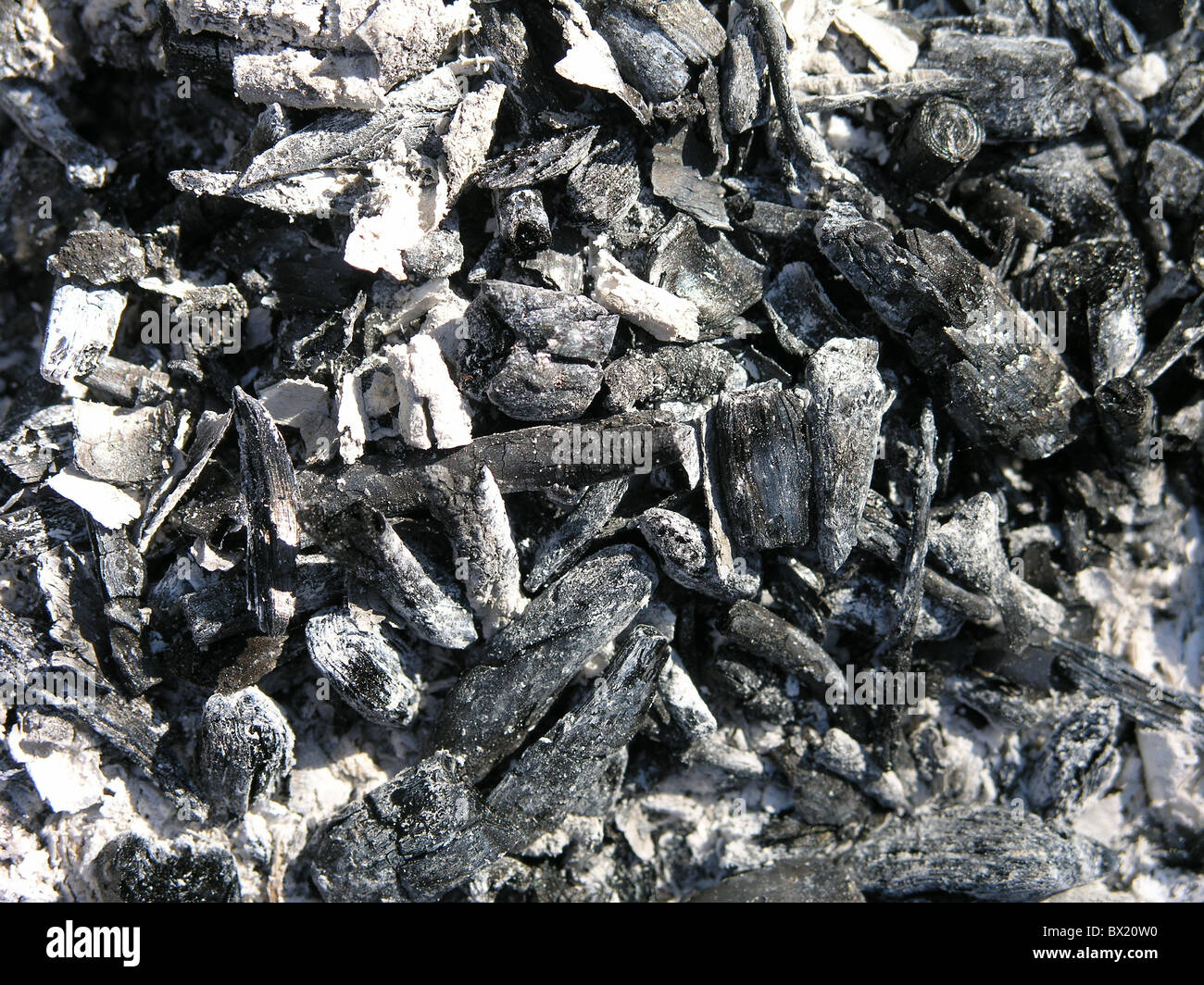 burned cinder coal detail fire wood Wood ash cinders of wood Stock