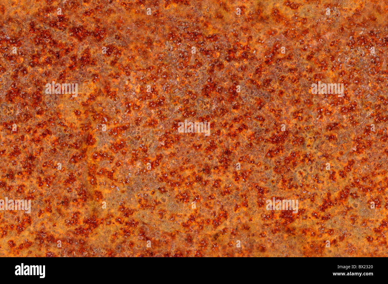 Rusted corroded metal surface seamlessly tileable, reddish orange in color. Stock Photo