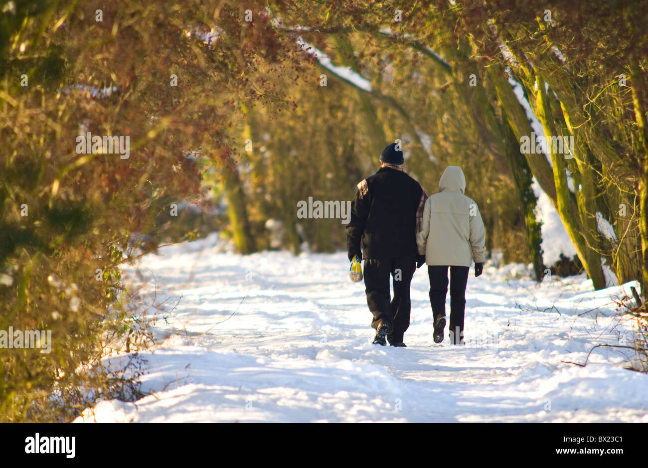 Man and woman taking a morning walk along a tree lined snowy path Stock ...