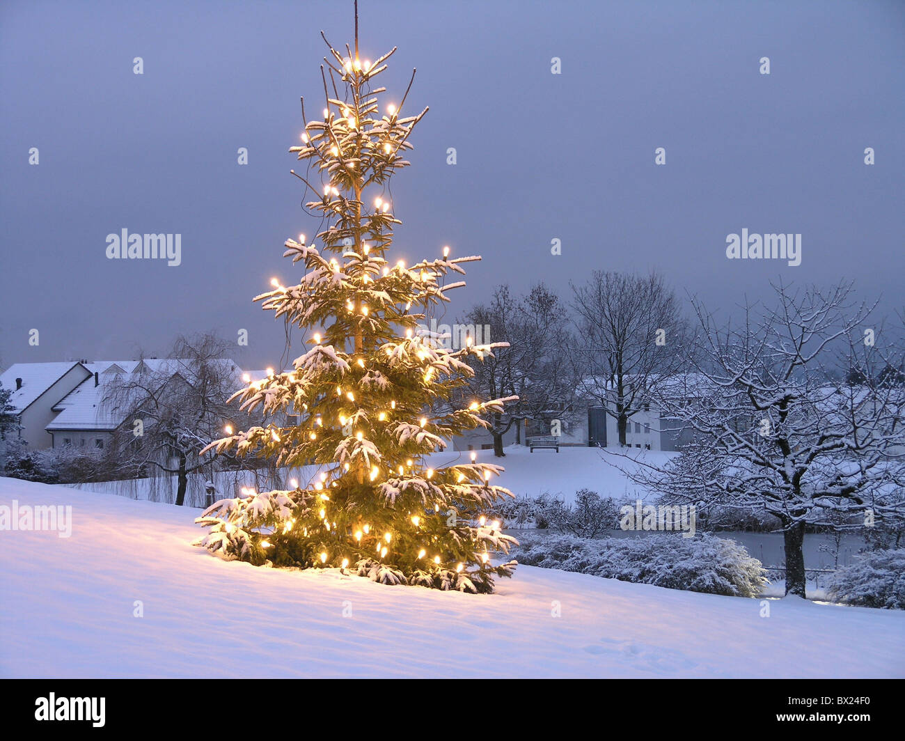 exterior christmas tree lights