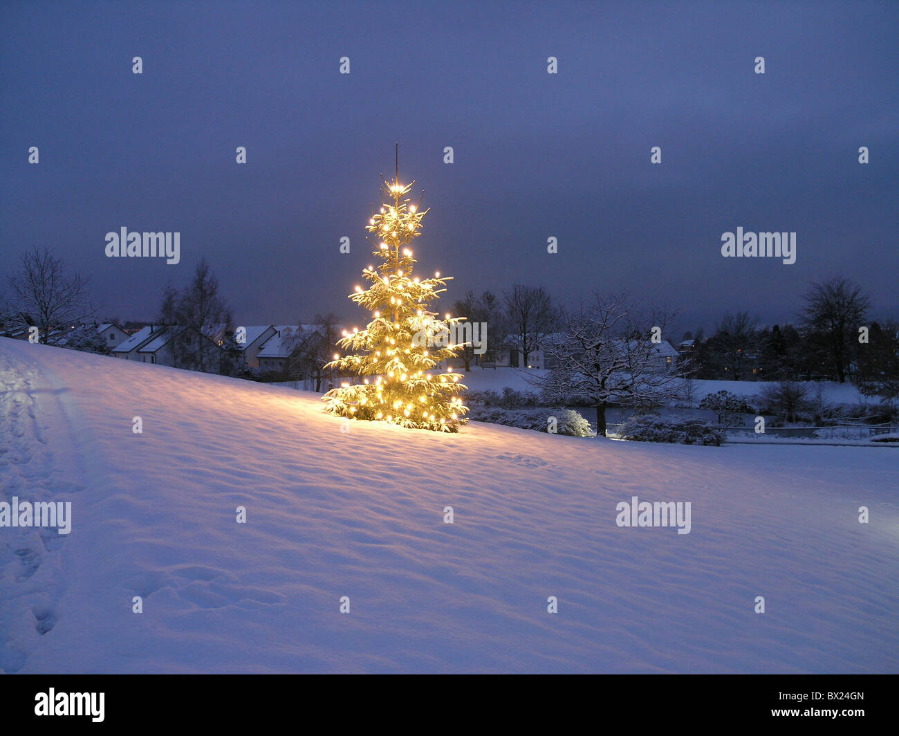 at night Christmas Christmas tree christmas tree fir tree lighting illuminated night outside snow Switzerl Stock Photo