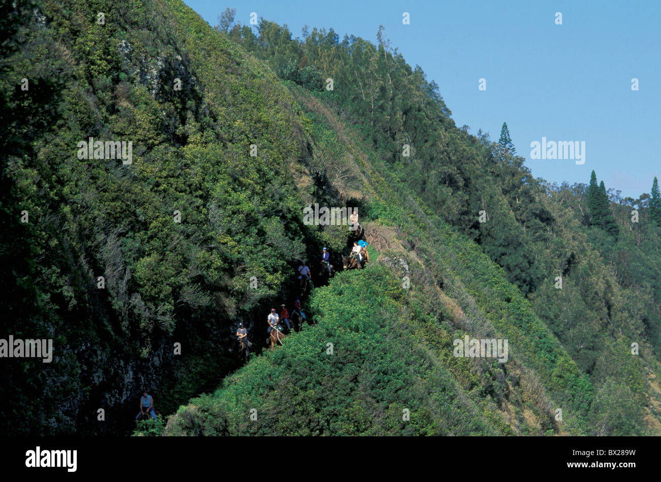 Steep slope hi-res stock photography and images - Alamy