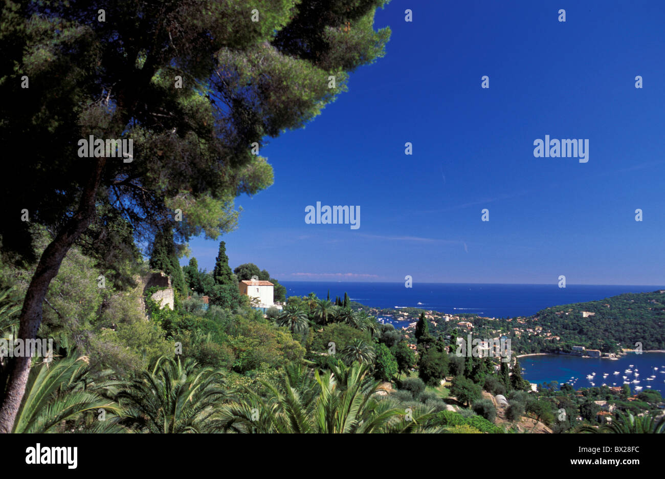 Cap Ferrat Cape Ferrat Color Colour France Europe Provence Alpes Cote d ...
