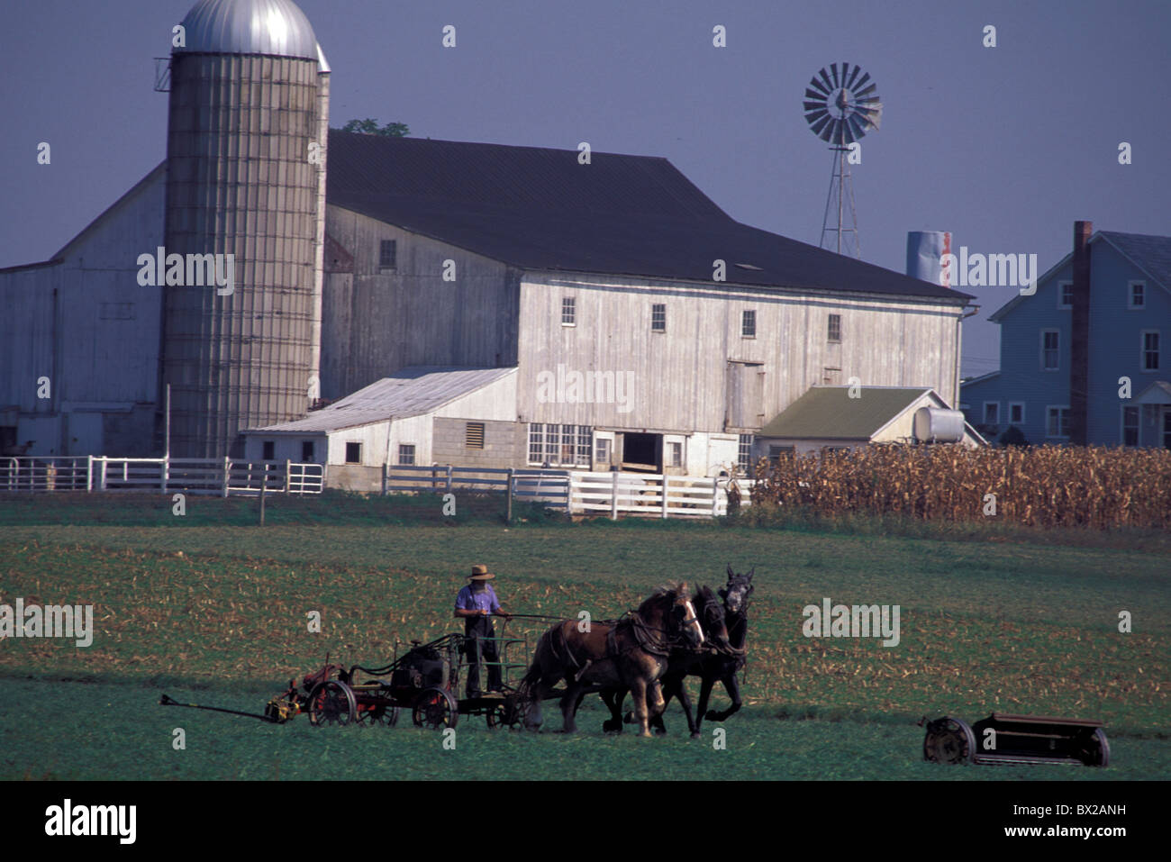 old fashioned Amish farmers cages horses field farm agriculture religion Christianity Lancaster county Phil Stock Photo