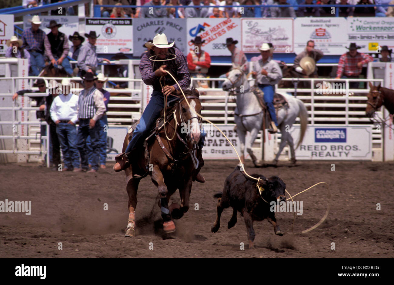 America Calf Roping Contest Oregon Sisters Sisters rodeo United States North America USA calf