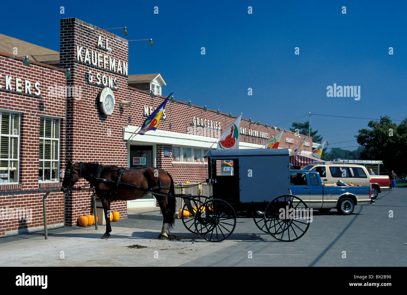 Bird old fashioned Amish coach horse coach horse parking lot agriculture religion Christianity Dutch Country Stock Photo