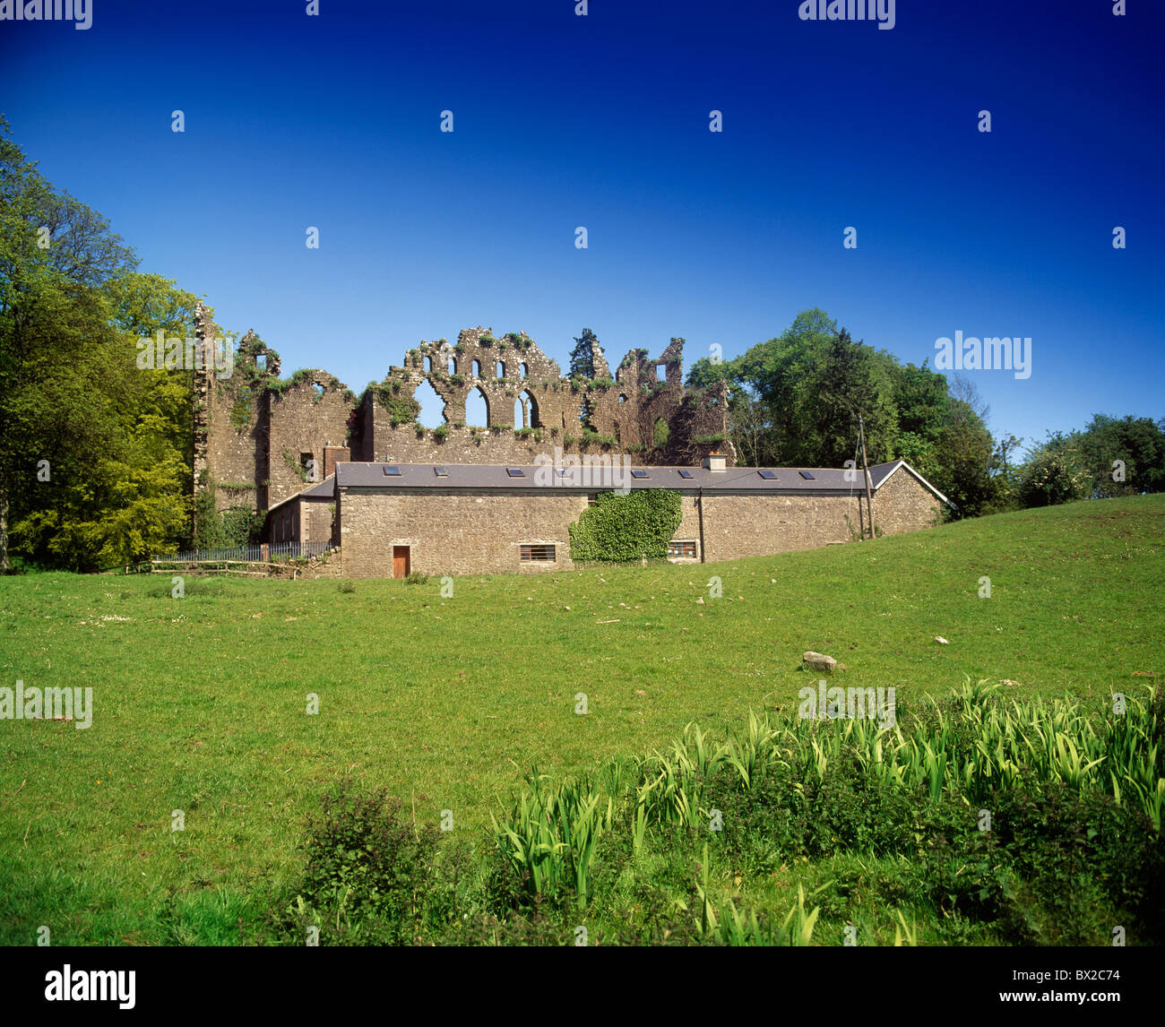 Co Westmeath Mullingar, The Jealous Wall, At Belvedere House Stock Photo Alamy