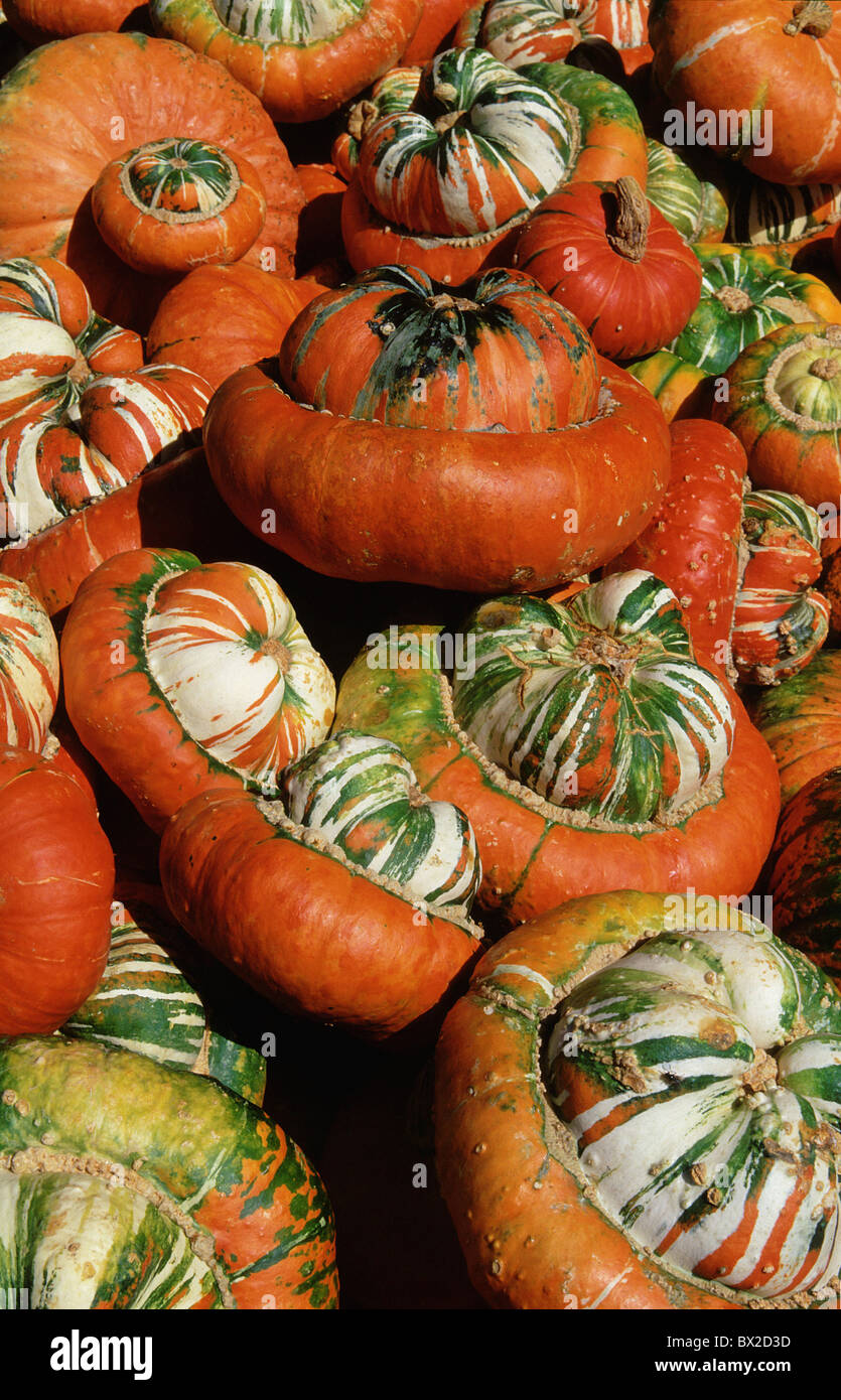Amount Autumn Cheer Cheering Cheers Color Colorfully Colour Crowd Gourd Gourds High different colors S Stock Photo