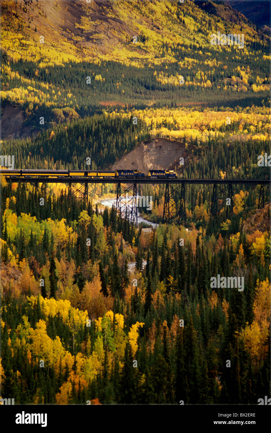 Alaska Alaska railroad America Autumn Bridge Denali national park Park Railroad Railroads Railway Railway Stock Photo