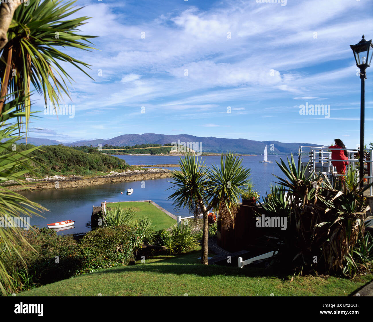 Ireland palm trees hires stock photography and images Alamy