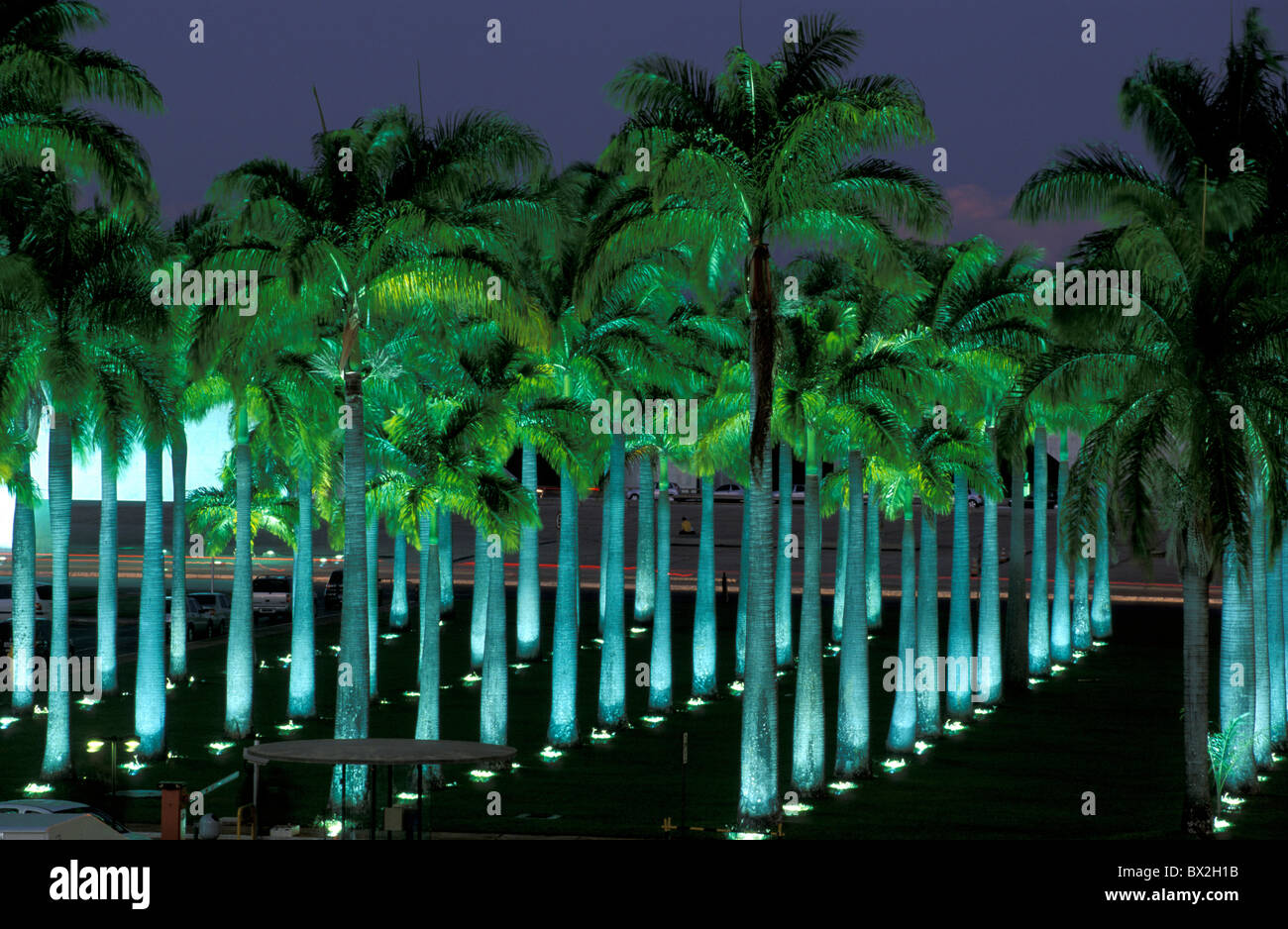 Brasilia Brazil South America park palm trees show art lights Stock Photo