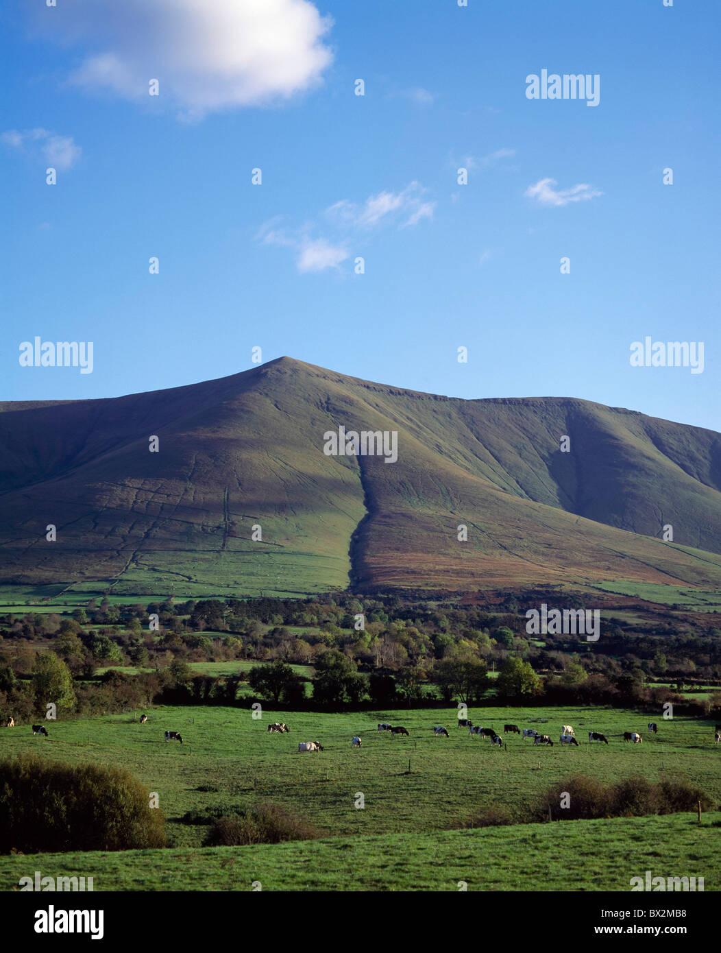 Anglesborough,Co Tipperary,Ireland;Galtee Mountains Stock Photo Alamy
