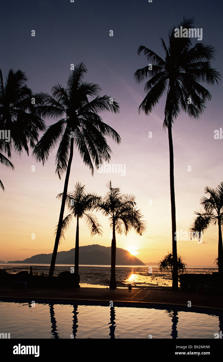 Asia Thailand Phuket Sunset Palm Trees Beach Moody Sea Resort Holiday ...