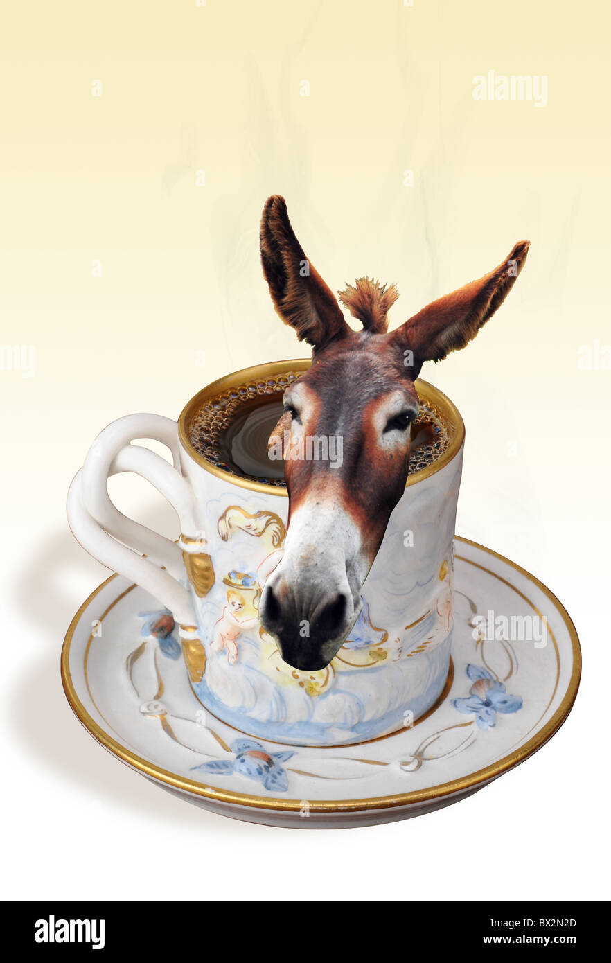 Donkey in your coffee Stock Photo Alamy