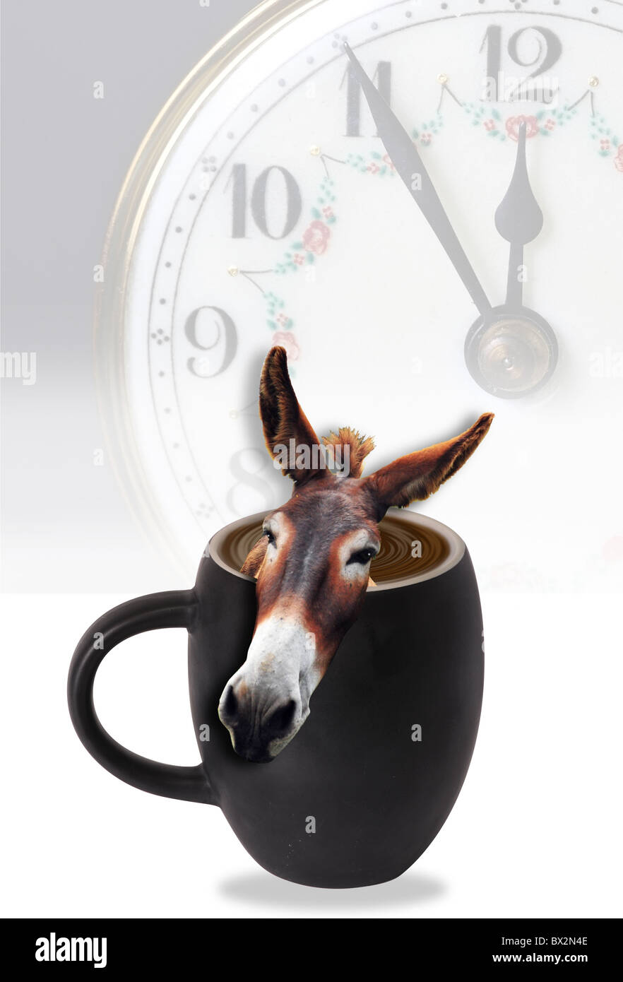 Donkey in your coffee Stock Photo Alamy