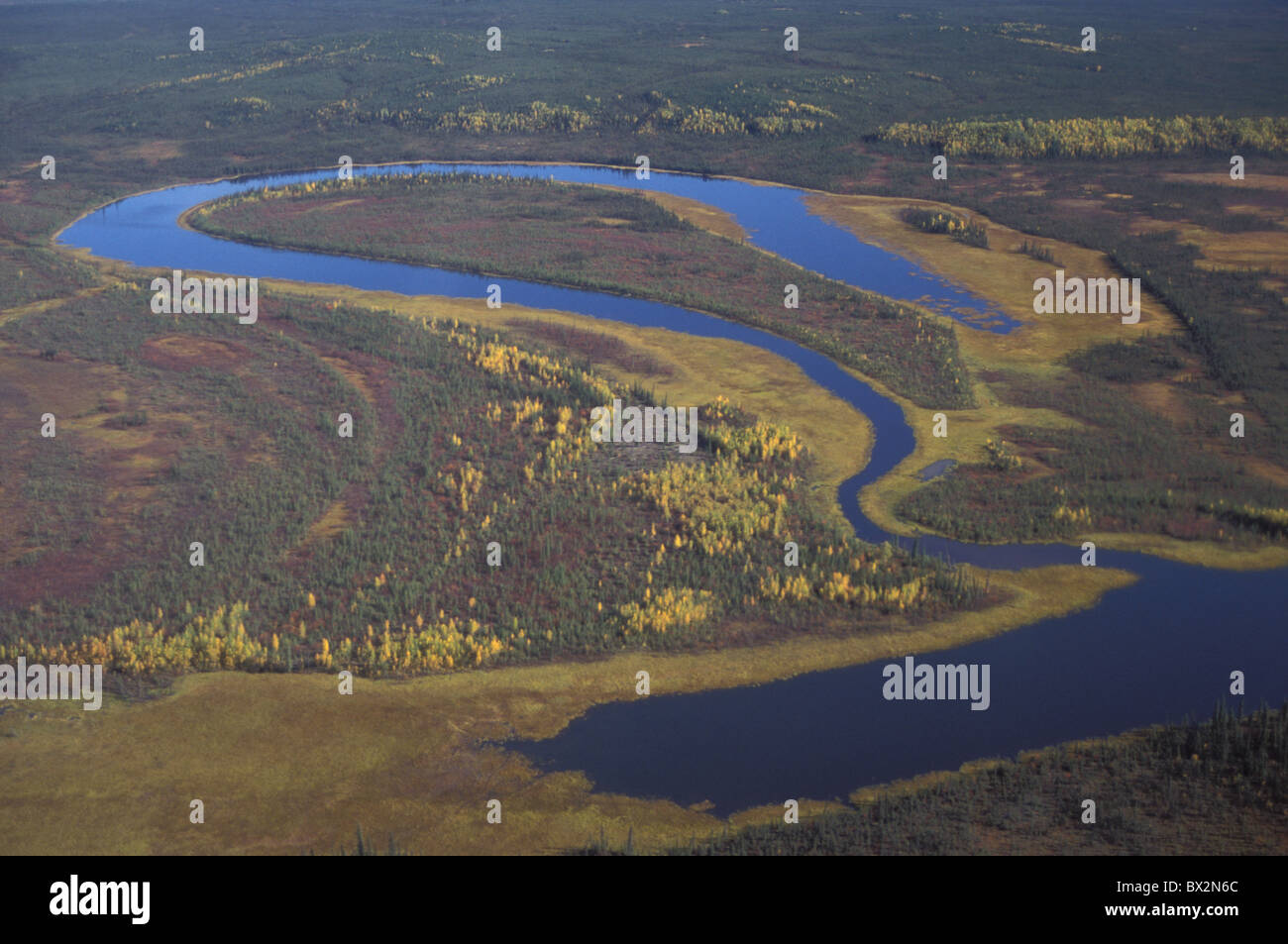 aereal Alaska Gates of the Arctic national park autumn boreal forest