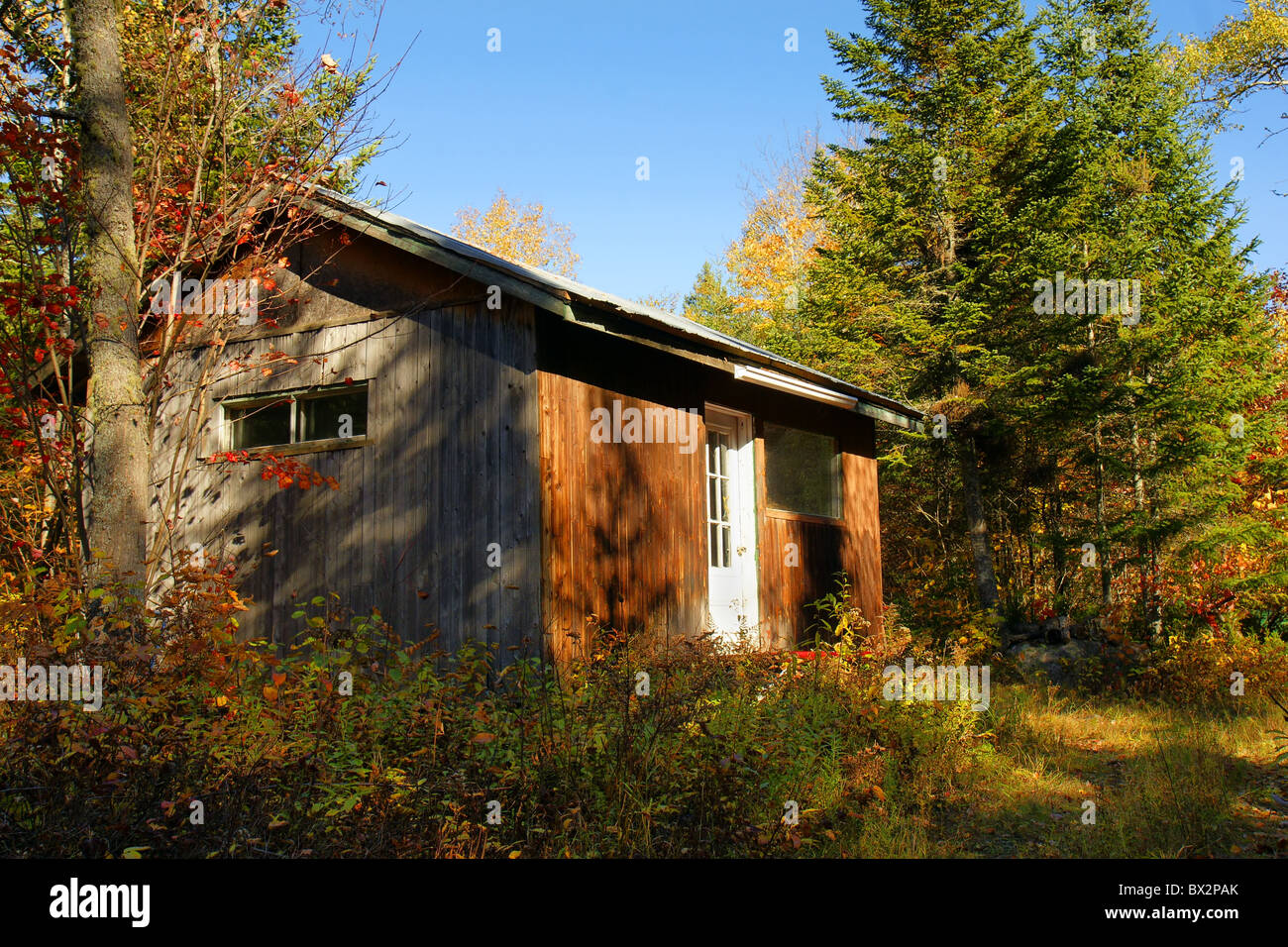 Beautiful sunny day at an old wood cabin deep in the forest during fall. Stock Photo