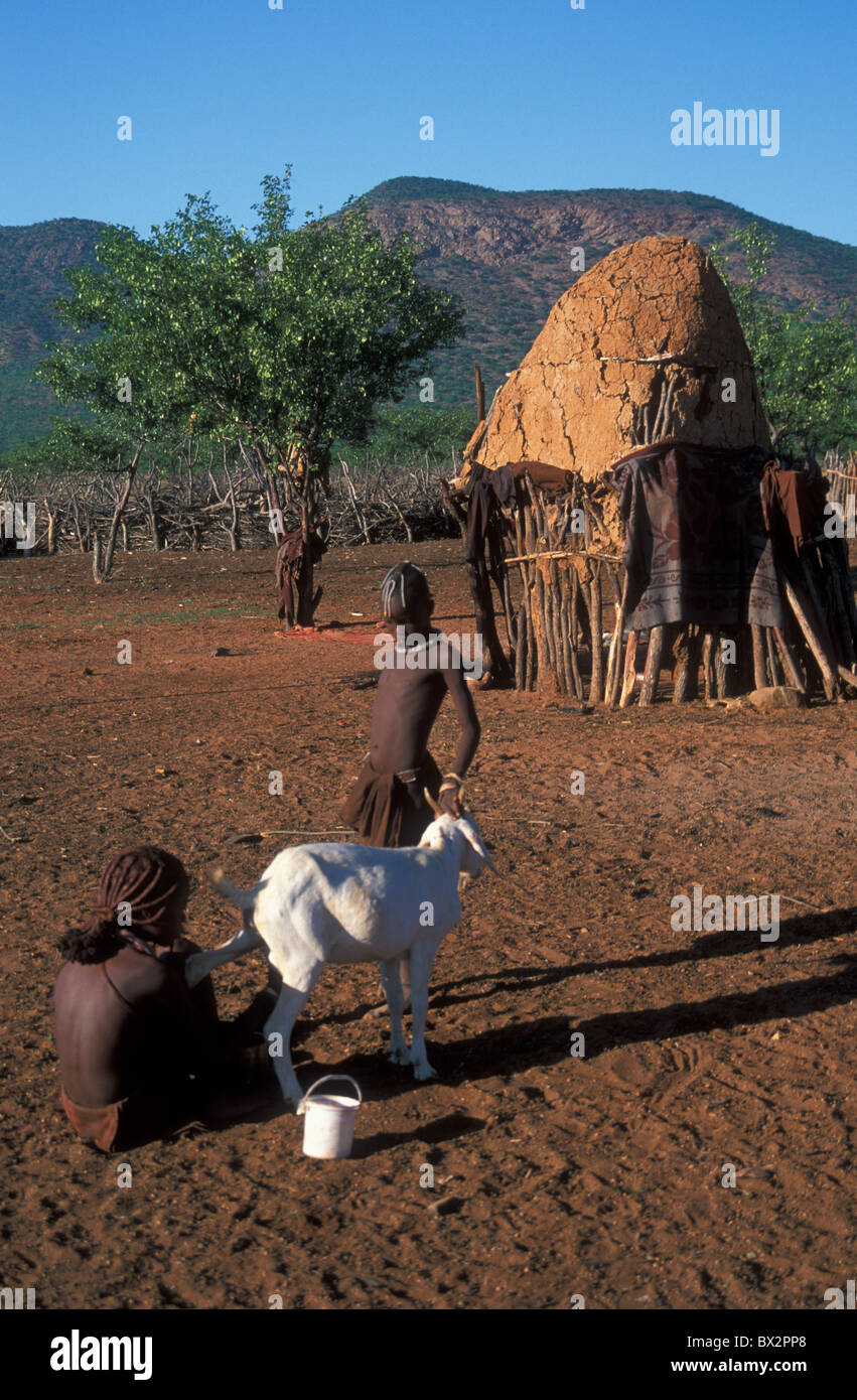 Himba Boy With Goat High Resolution Stock Photography and Images - Alamy