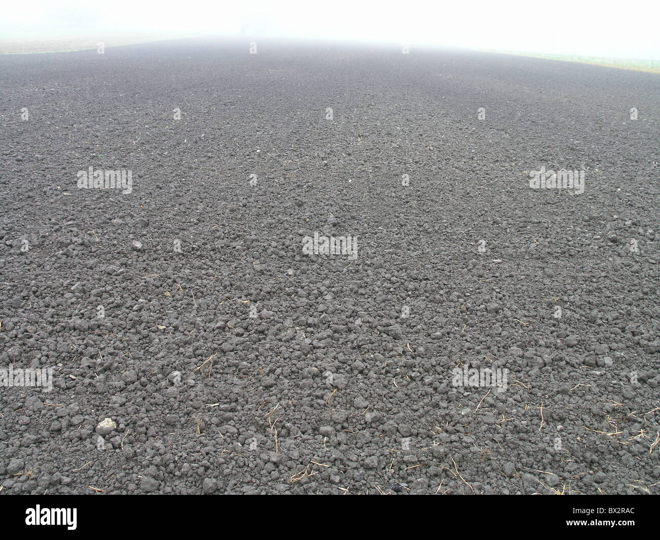 field lie idle fallow field agriculture fog Stock Photo