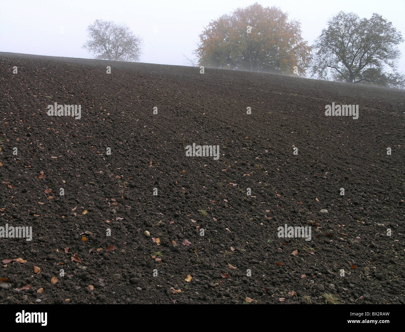 field lie idle fallow field agriculture fog autumn Stock Photo