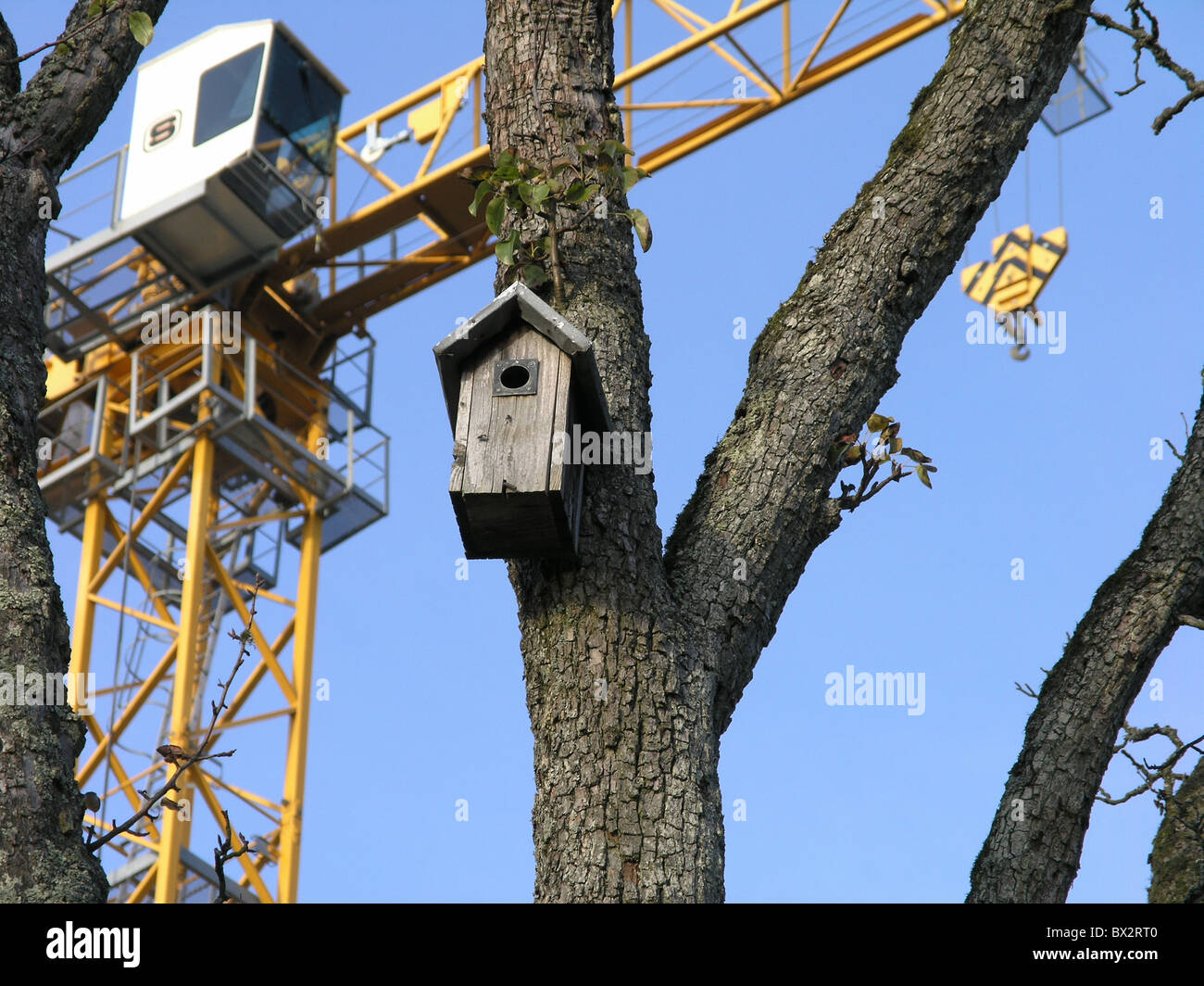 construction crane nesting box nest bird birds caste Symboln trees construction industry environment animal Stock Photo