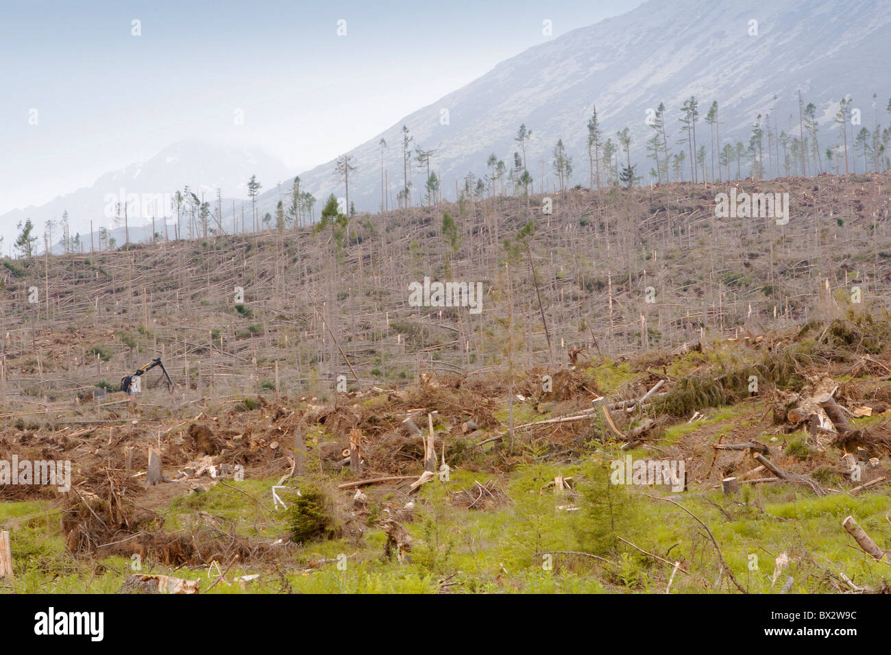 Destruction of ecosystem hurricane hi-res stock photography and images ...