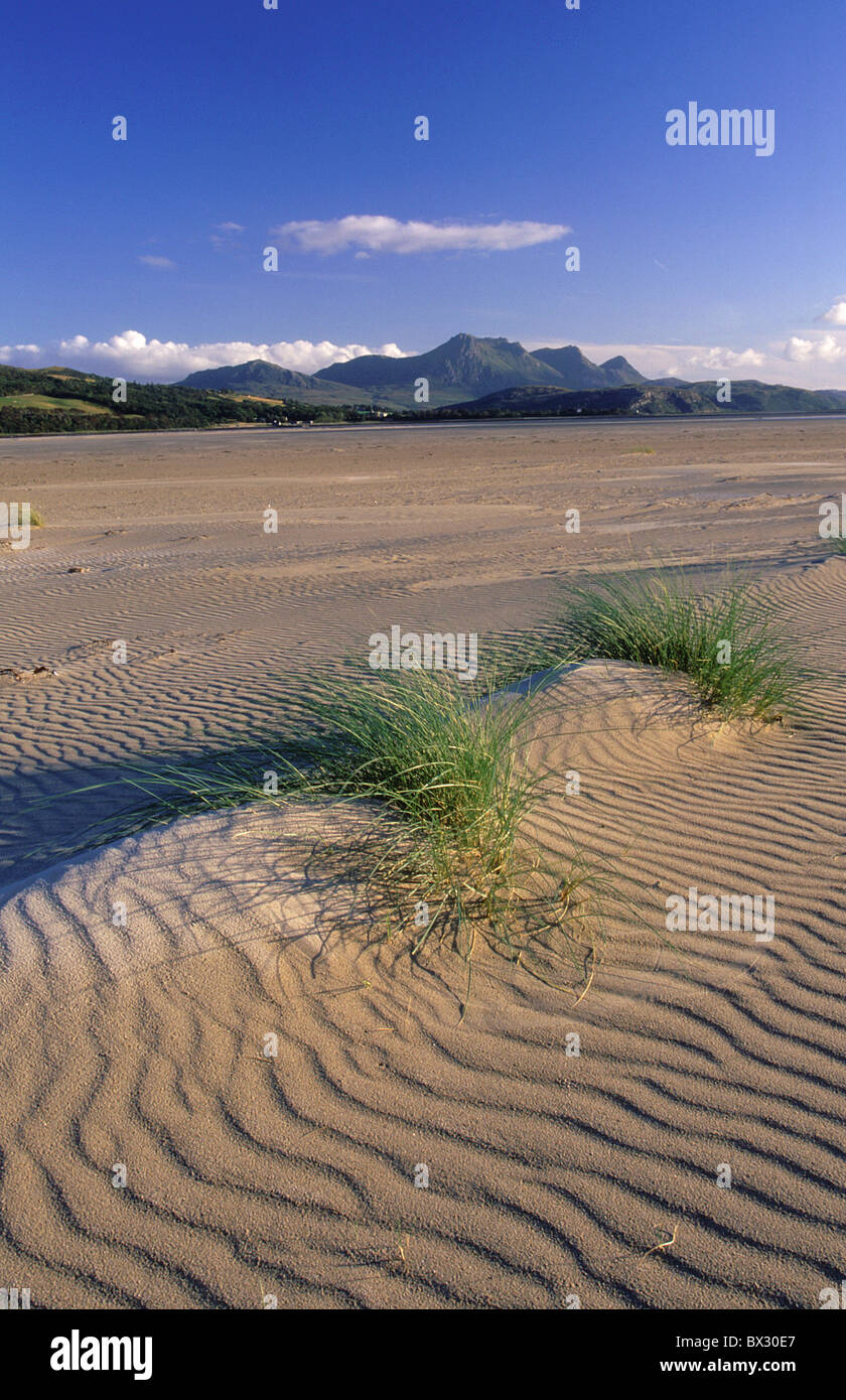 scenery landscape Ben Loyal 765 ms Kyle of Tongue Tongue by Lairg Highland high moor sand sand beach sand du Stock Photo