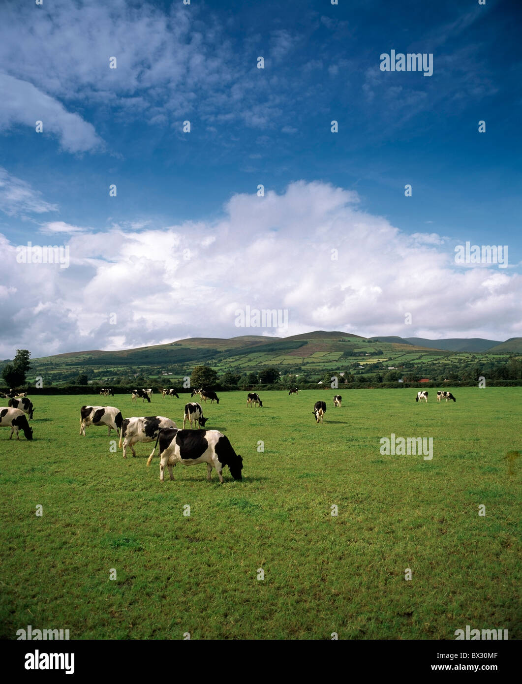 Mitchelstown county cork ireland hires stock photography and images