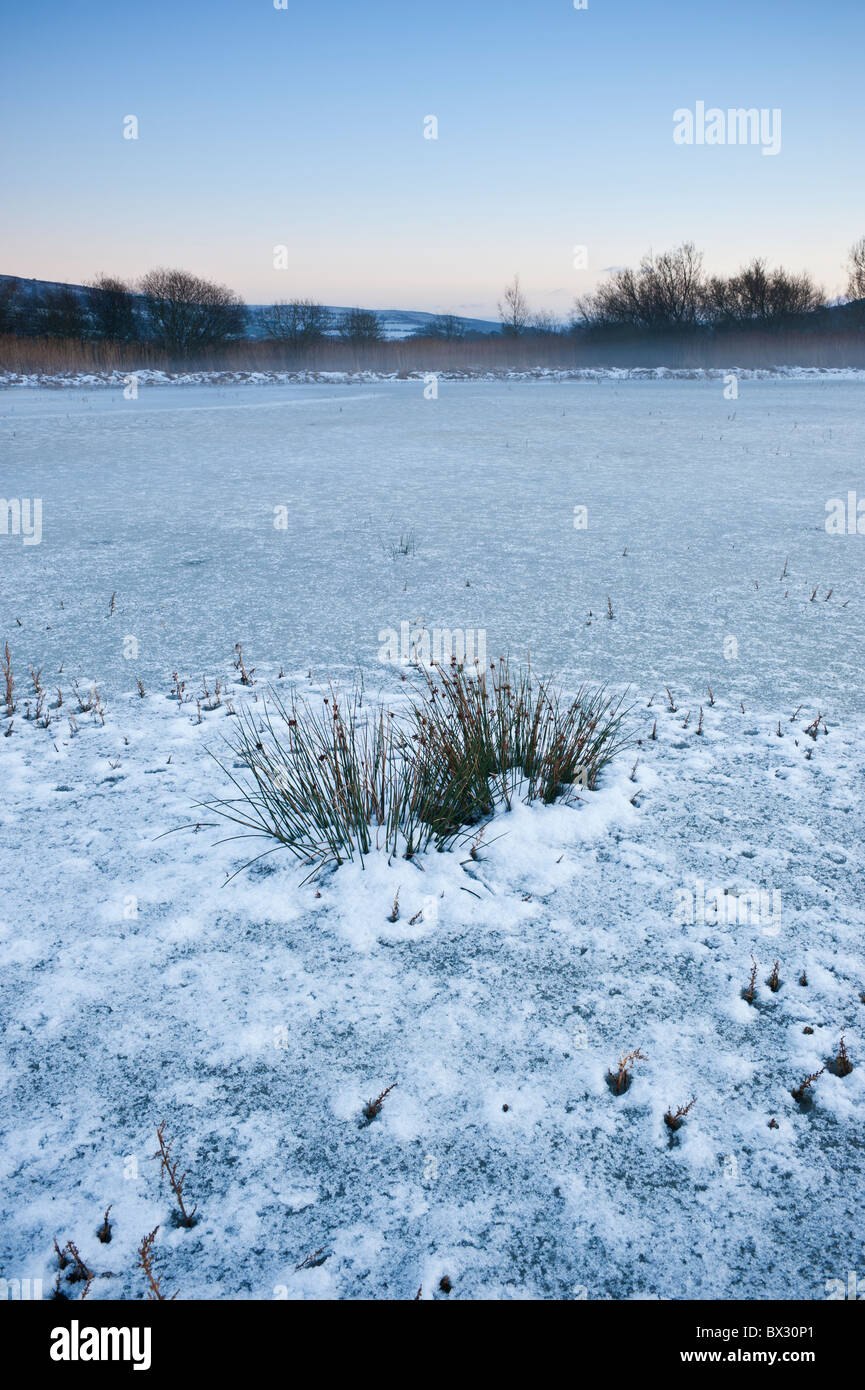 Frozen winter shorline of Llangorse lake, Brecon Beacons national park, Wales Stock Photo