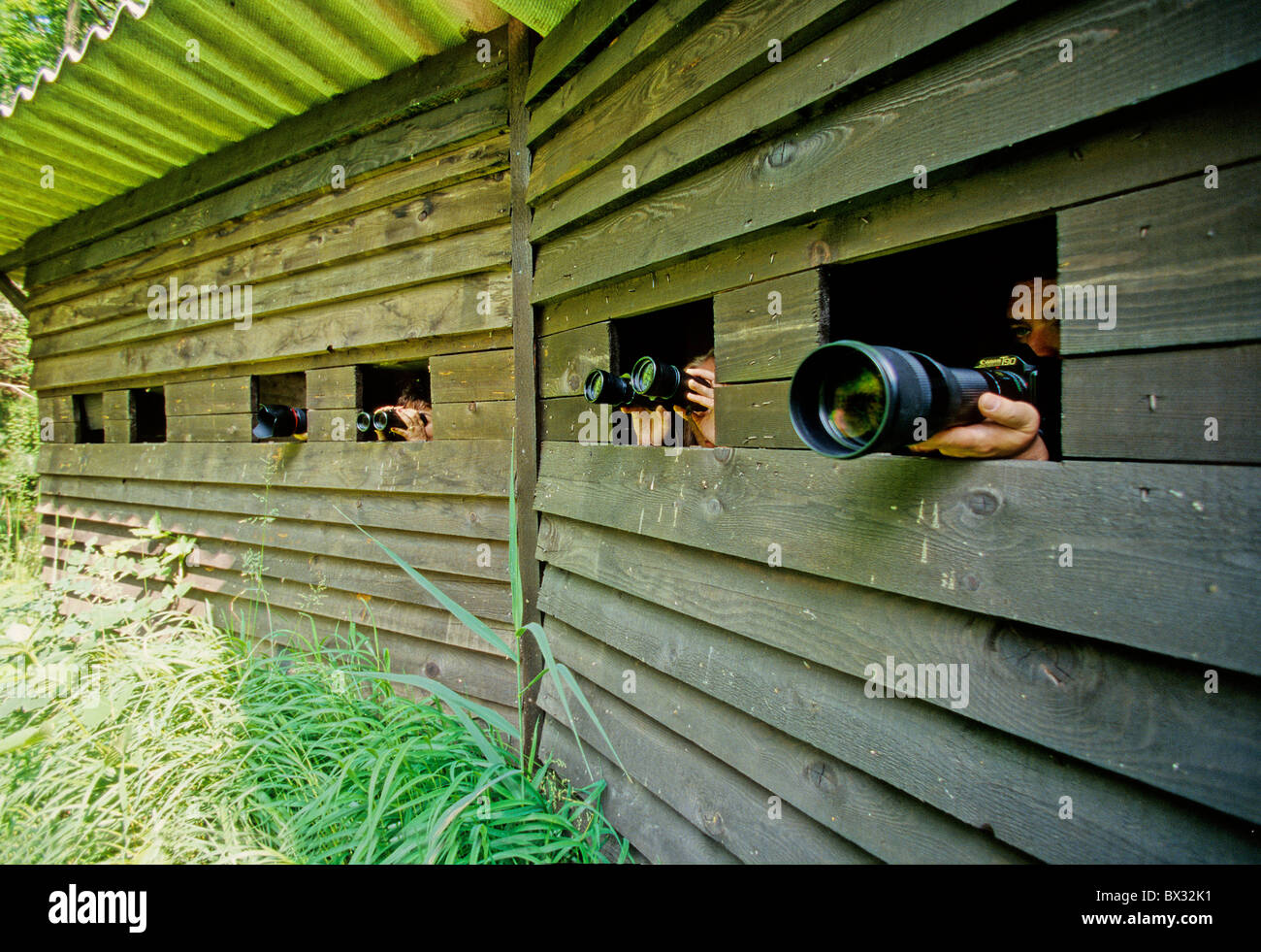 Birdwatching bird observation Bird watching hut camouflage photographer