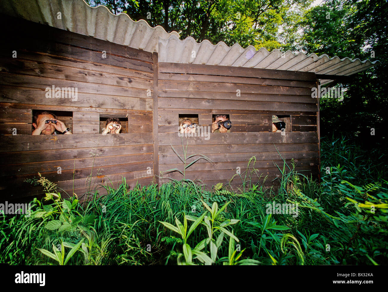 Birdwatching bird observation Bird watching hut camouflage photographer