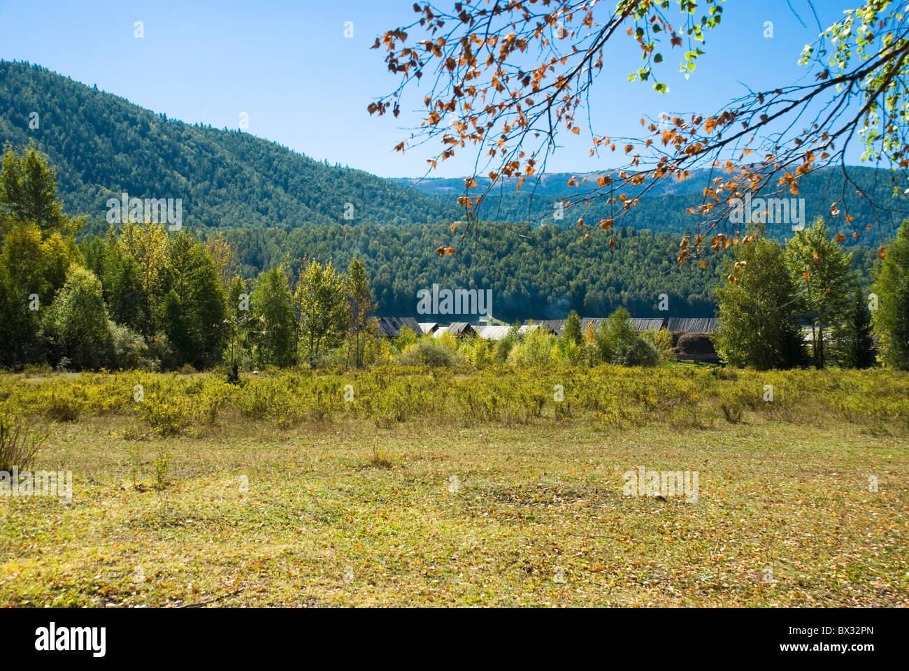 Hemu, Northern Xinjiang, China. Stock Photo