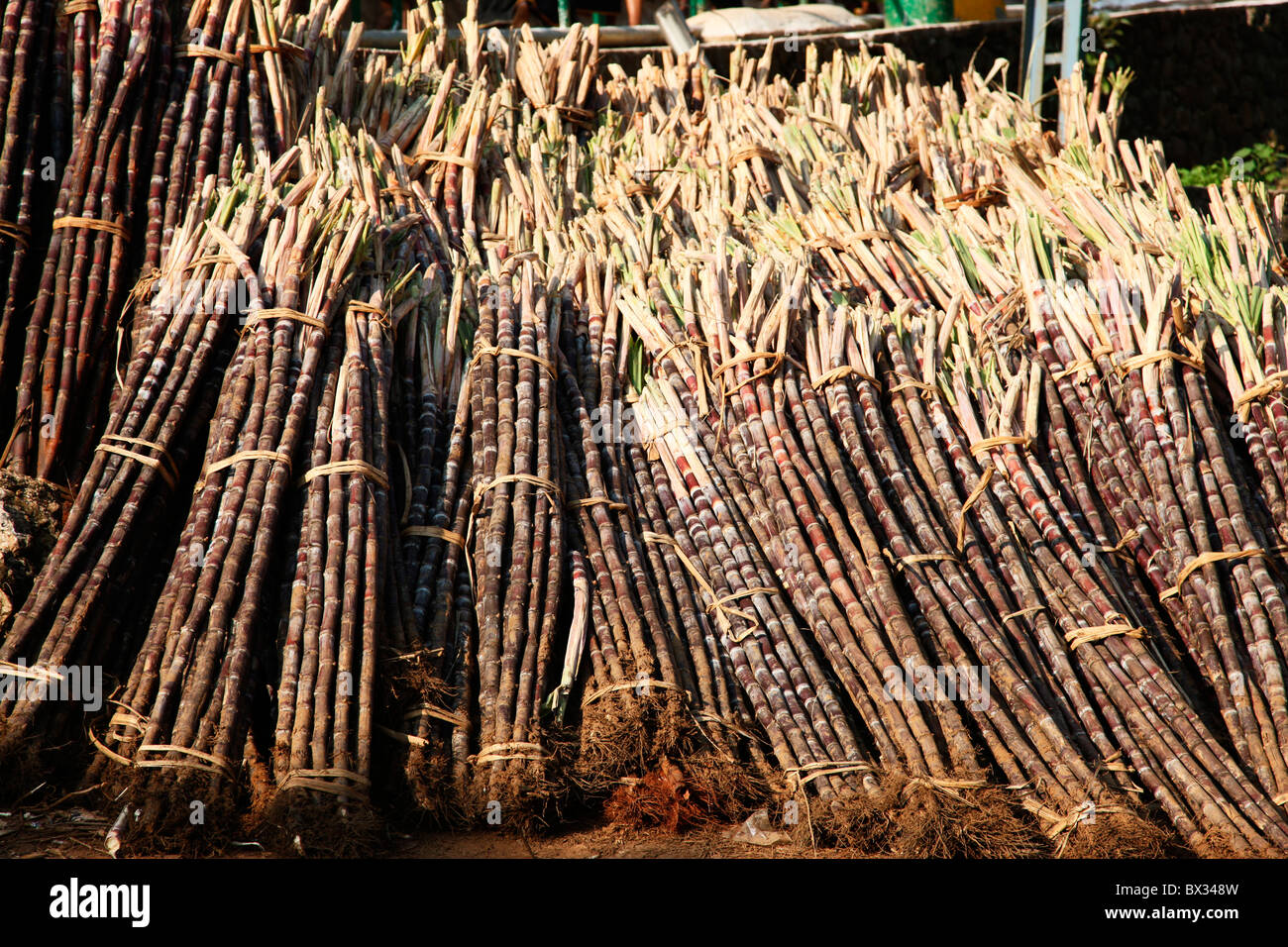 Sugar canes stacked for sale Stock Photo Alamy