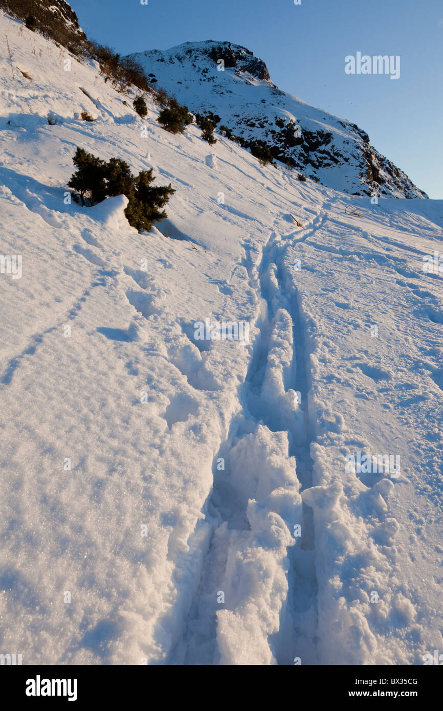 Cross country ski tracks in deep snow on Authur's Seat in Holyrood Park
