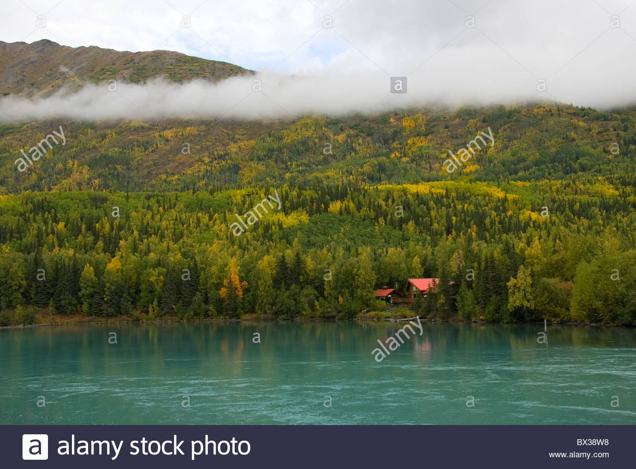 Beautiful Kenai River In Fall Colors Cabin Located Near The Kenai