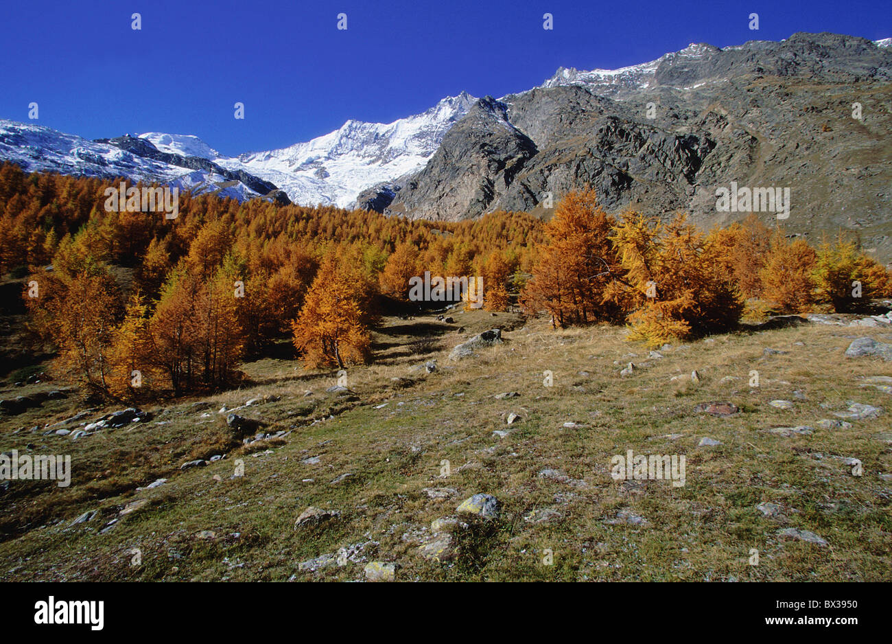 Valaises High Resolution Stock Photography and Images - Alamy
