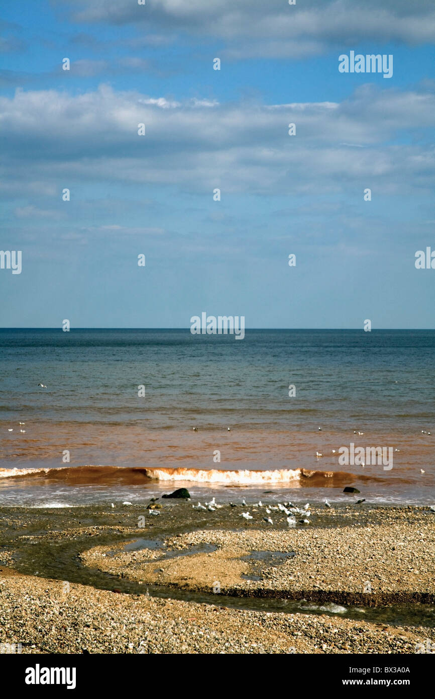River Meet Sea High Resolution Stock Photography and Images - Alamy