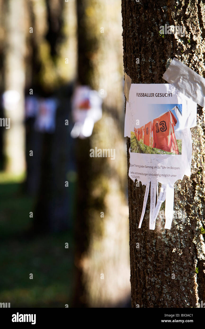 note with ad searching for football players sticking on tree Stock Photo