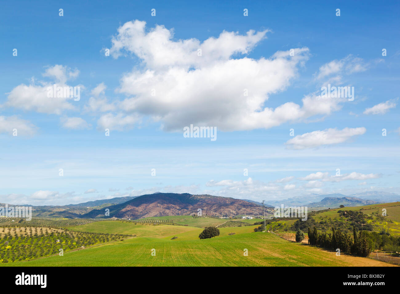 Farmland Landscape Near Alozaina; Malaga, Spain Stock Photo