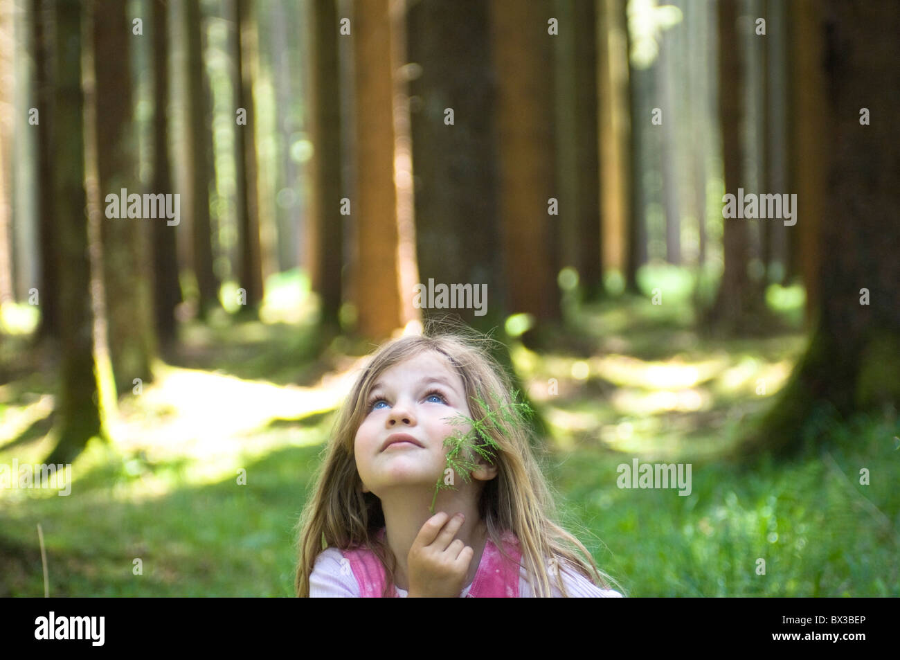 portrait of young girl standing in forest Stock Photo - Alamy
