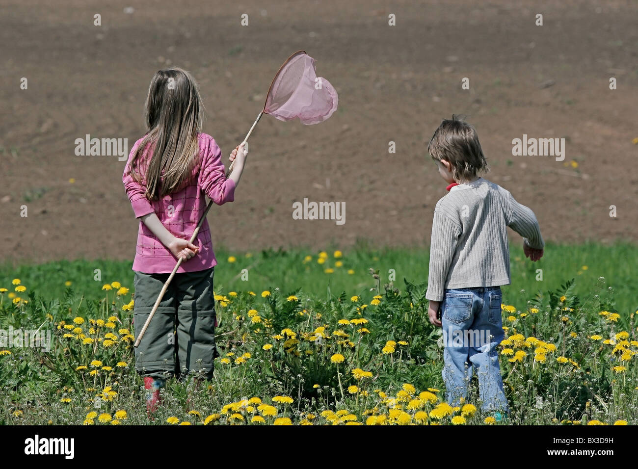 Brother and sister enjoy summer time in the dandelion meadow Stock ...