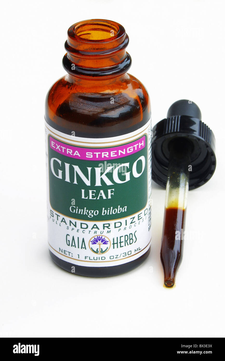 health herbal supplement Gingko extracts medicament Herbs Stock Photo