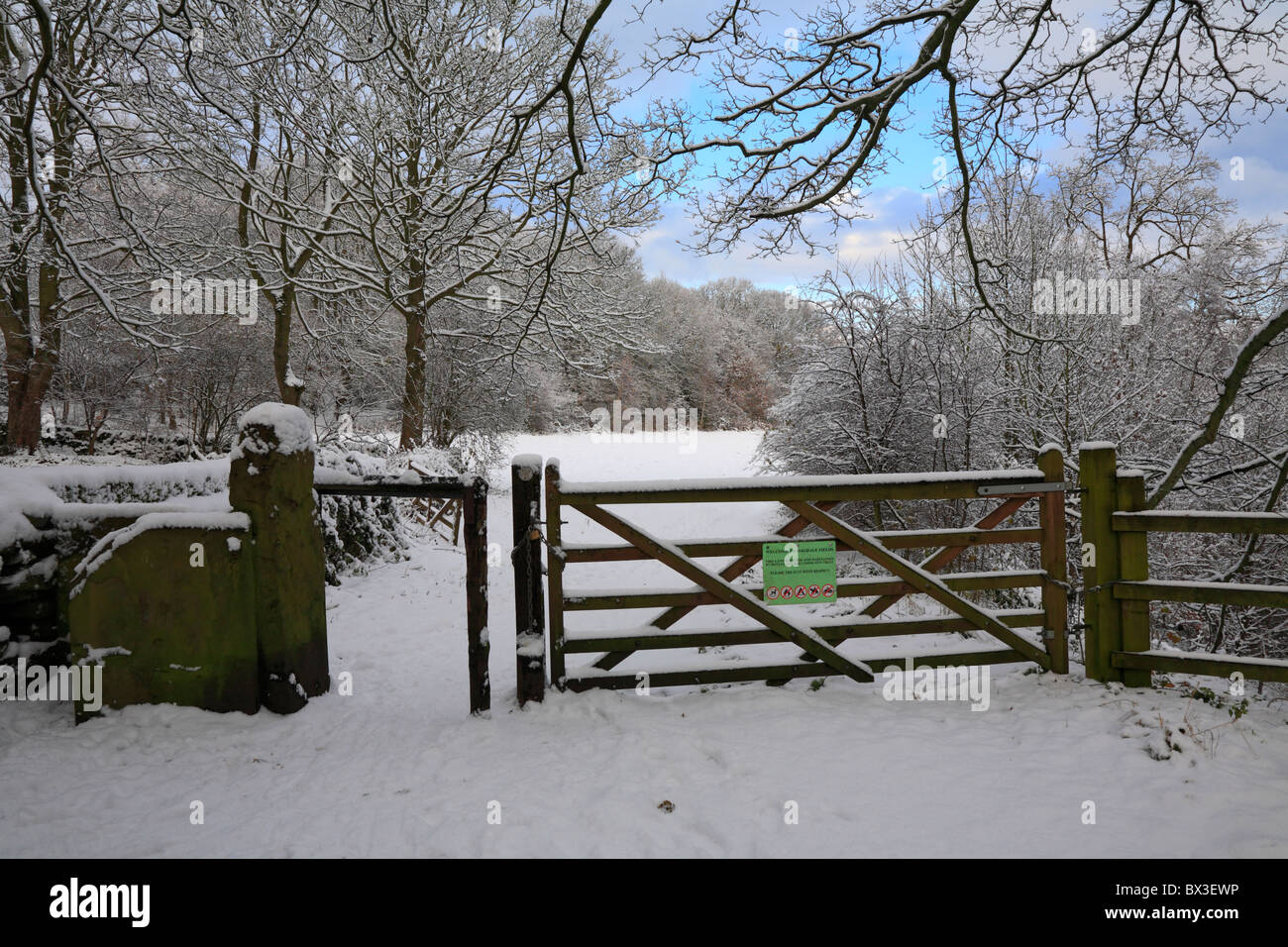 Gate and stile entrance to Magdale Fields in deep snow, Honley