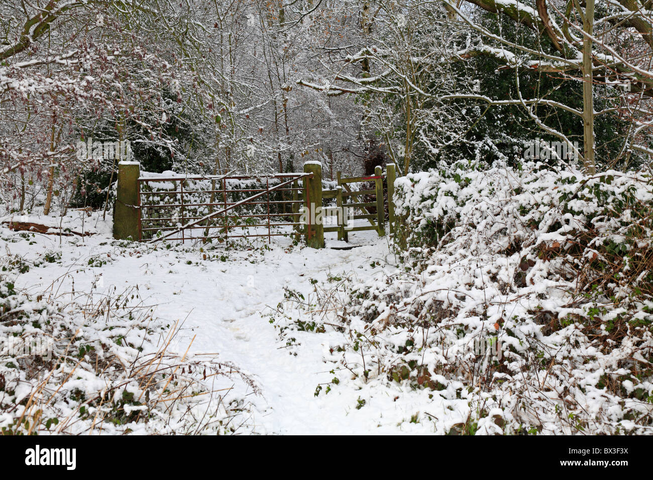 Walk In Deep Snow Walk in deep snow hi-res stock photography and images - Alamy