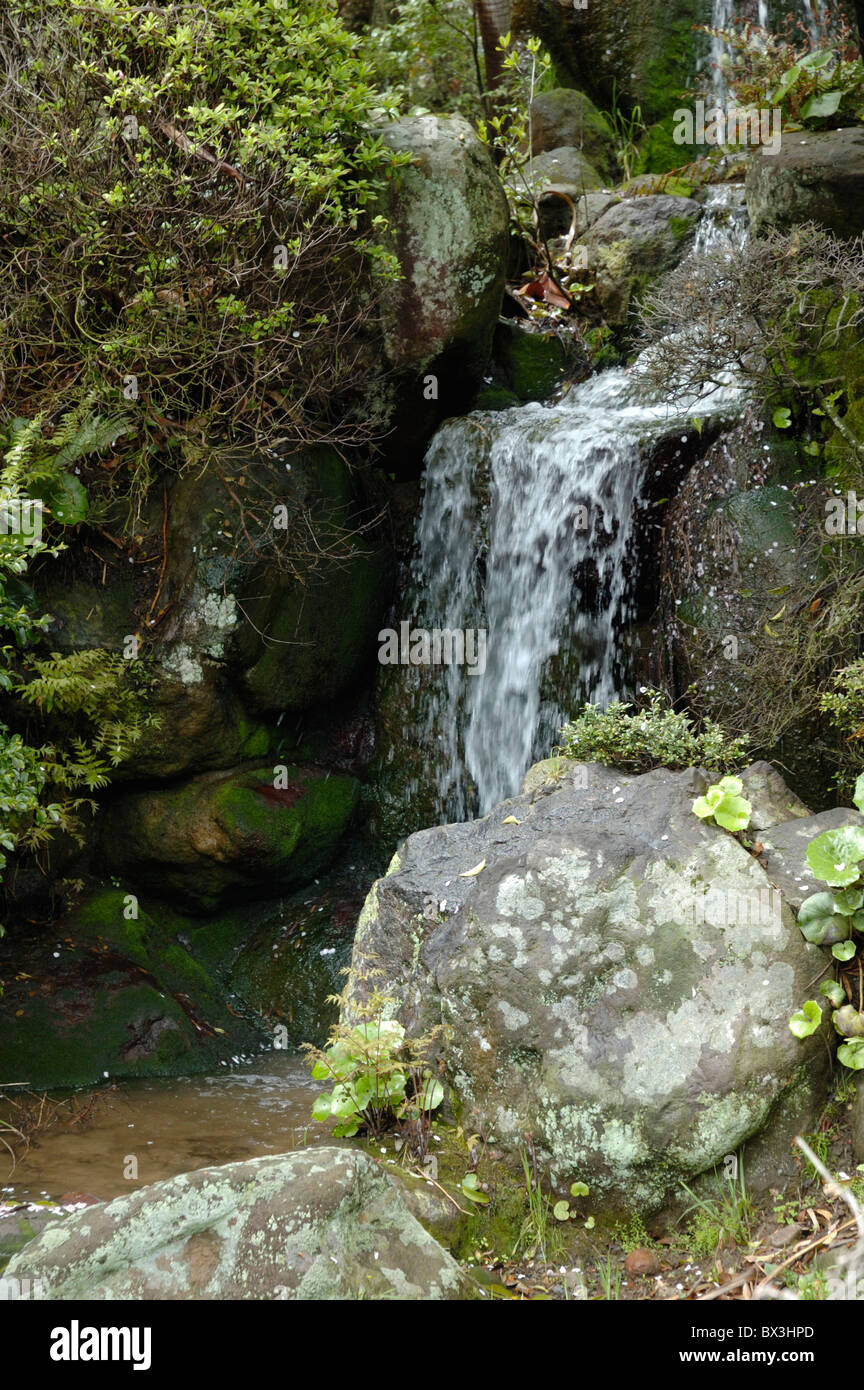 Chinoike Jigoku, Beppu, Oita Prefecture, Kyushu, Japan Stock Photo - Alamy