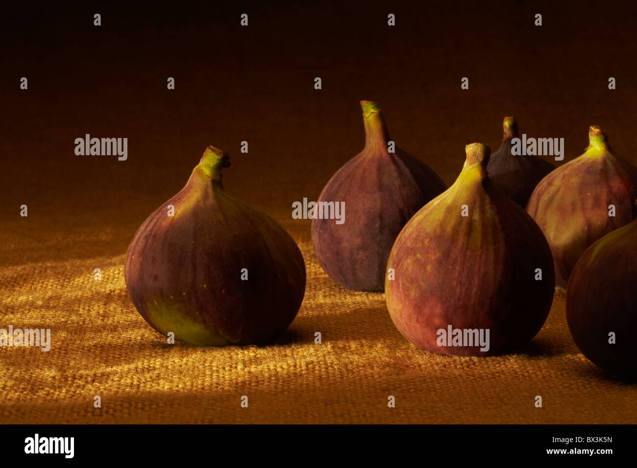 Harvest of Fresh Figs on Sacking Stock Photo