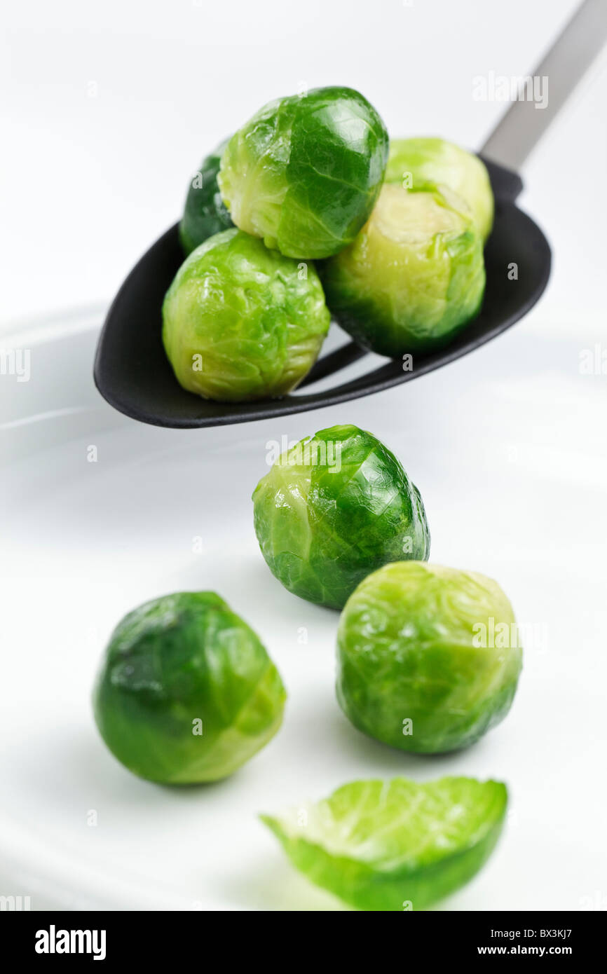 Serving fresh cooked Brussels Sprouts on to a white Dinner Plate Stock Photo